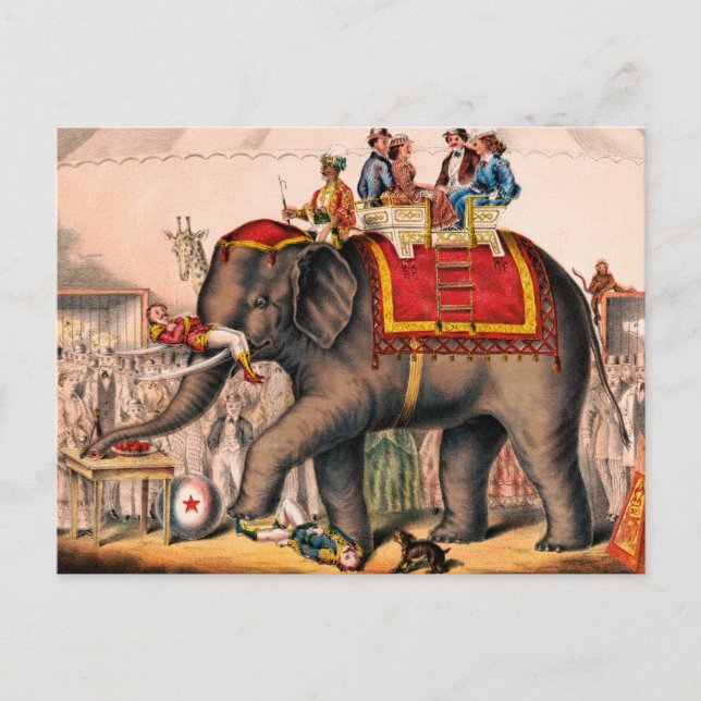 Cartão Postal Homens Executando Um Ato De Circo Com Um Elefante. (Frente)