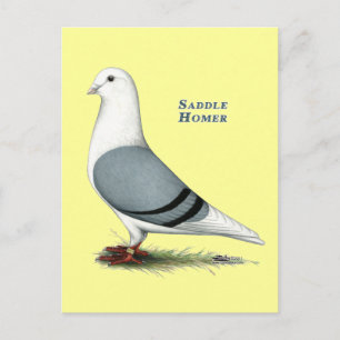 Cartão Postal Homer Blue Saddle