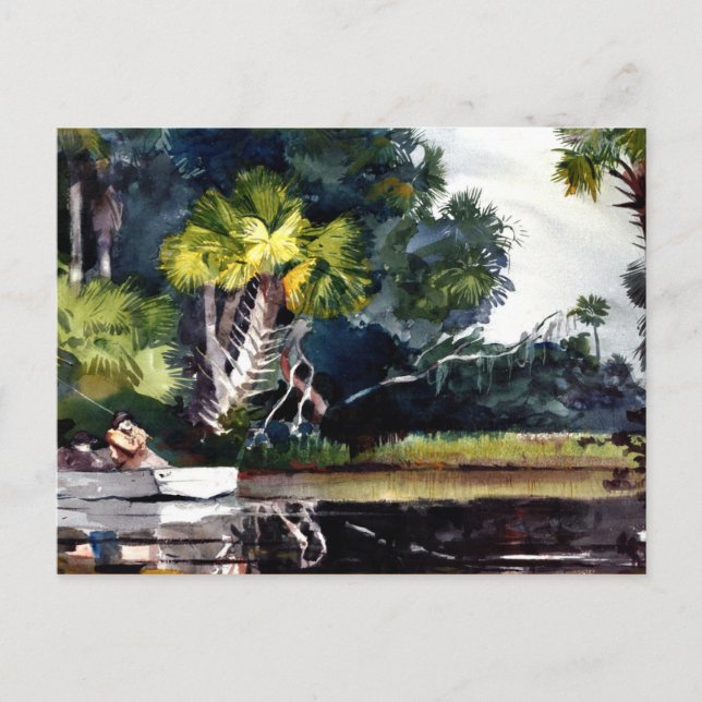 Cartão Postal Homer - Selva de Homosassa (Frente)