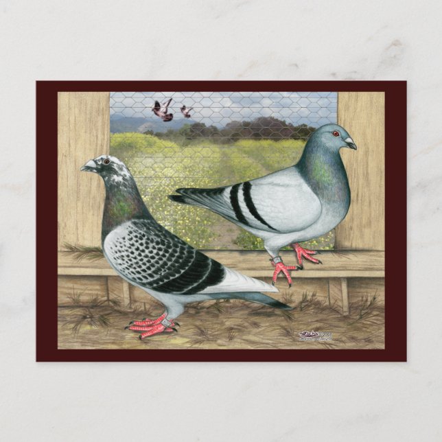 Cartão Postal Homers de Corrida em Loft (Frente)