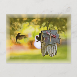 Cartão Postal Homeward Bound