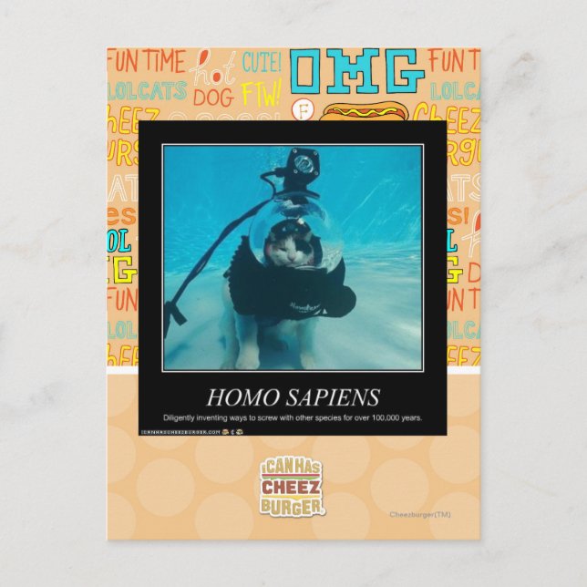 Cartão Postal Homo Sapiens (Frente)