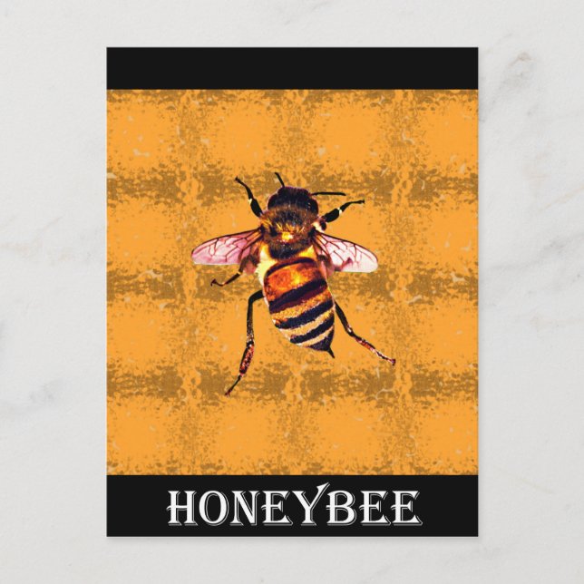 Cartão Postal Honeybee (Frente)