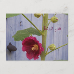 Cartão Postal Honeysuccle thank you postcard