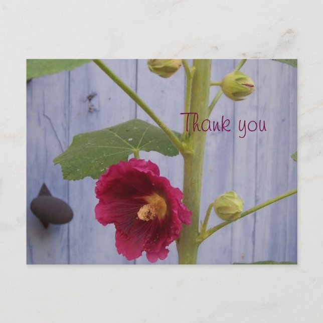 Cartão Postal Honeysuccle thank you postcard (Frente)