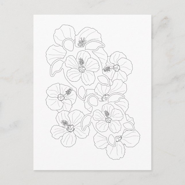 Cartão Postal Honu Turtles Adult Coloring Postcard (Frente)