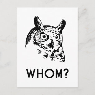Cartão Postal Hoo Who Grammar Owl