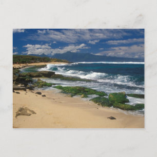 Cartão Postal Hookipa Beach Maui Hawaii