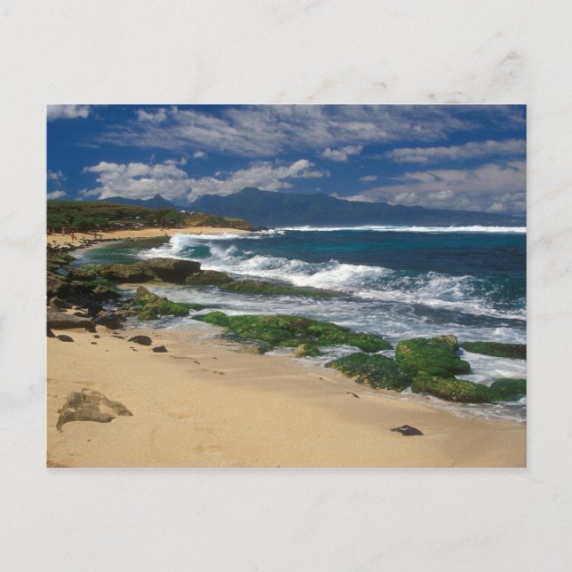 Cartão Postal Hookipa Beach Maui Hawaii (Frente)