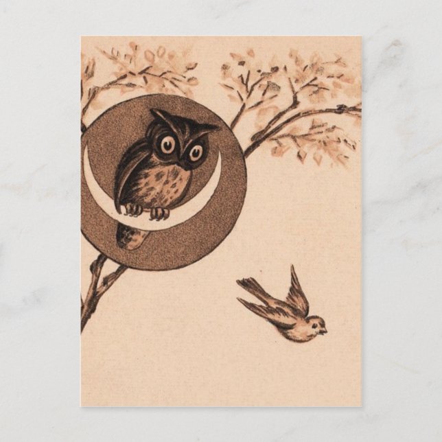 Cartão Postal Hoooot! (Frente)