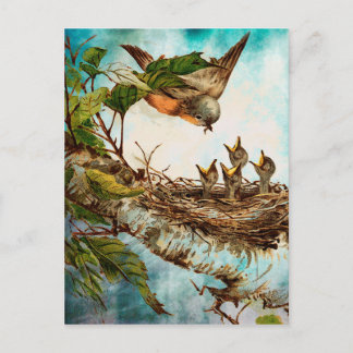 CARTÃO POSTAL HORA DA ALIMENTAÇÃO