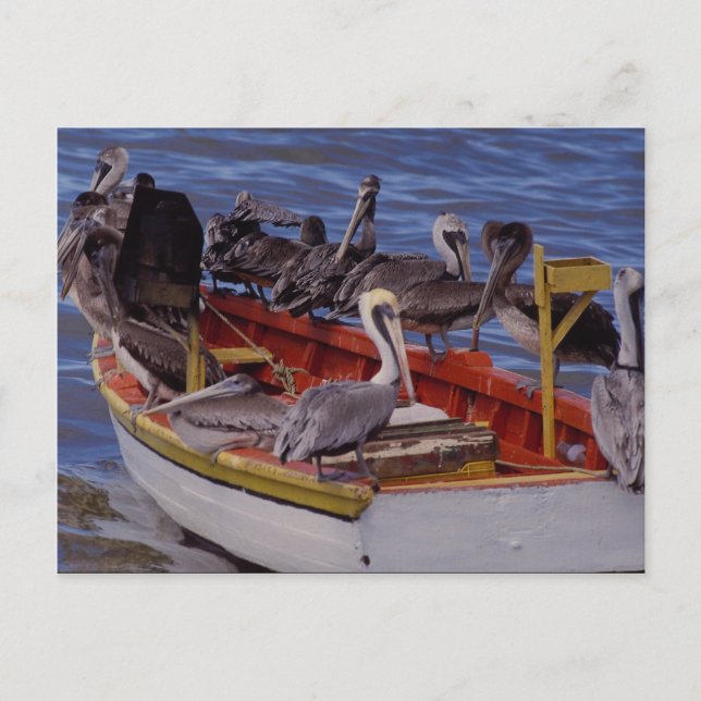 Cartão Postal Hora de descanso, Venezuela (Frente)