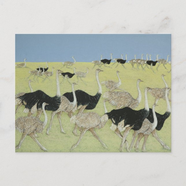 Cartão Postal Hora de ponta 2 (Frente)