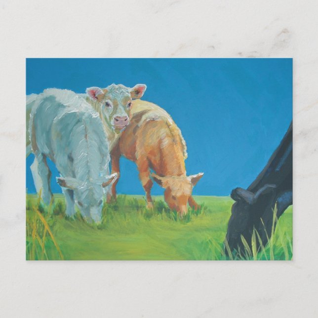 Cartão Postal Hora de um lanche (Frente)