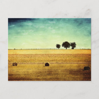 Cartão Postal Hora de Verão