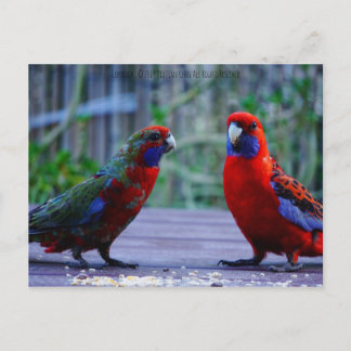 Cartão Postal Hora do namorando