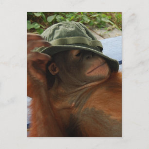 Cartão Postal Hora do Nap do Bebê Animal