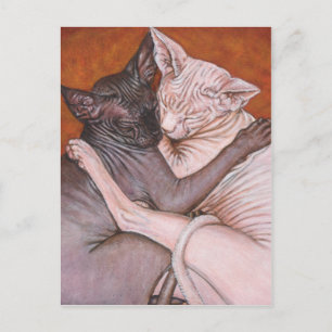 Cartão Postal Hora do Nap do Gato Sphynx Sphynx