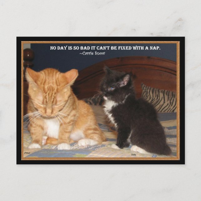 Cartão Postal Hora do Naptime! (Frente)