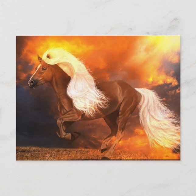 Cartão Postal Hora do ouro (Frente)