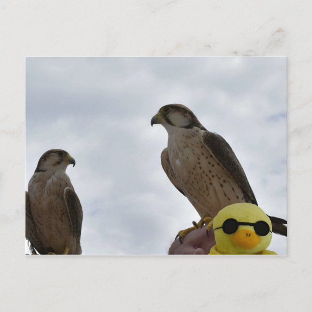 Cartão Postal Hora errada do local (Frente)