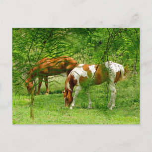 Cartão Postal Hors Thru Deixa Modelo de Cartão-Postal Personali