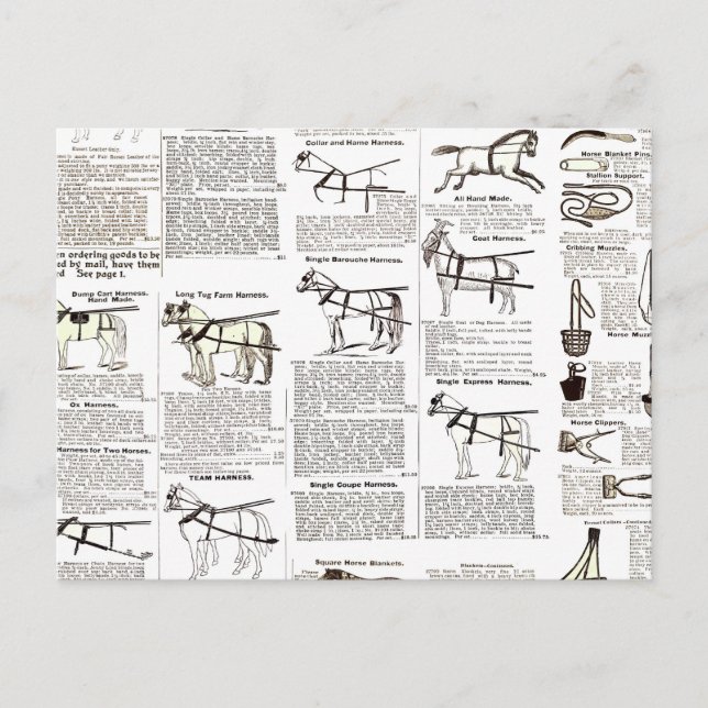 Cartão Postal Horse Antique Advertising Newpaper Art (Frente)