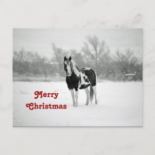 Cartão Postal Horse Black and White Snow Photo Christmas
