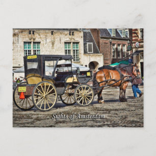 Cartão Postal Horse Buggy Taxi, Sights of Amsterdam