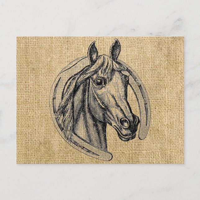 Cartão Postal Horse Cameo em Burlap (Frente)