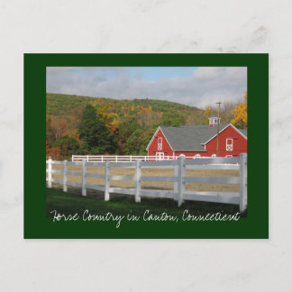 Cartão Postal Horse Country