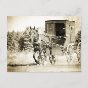 Cartão Postal Horse e Buggy Sepia