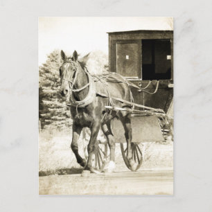 Cartão Postal Horse e Buggy Sepia