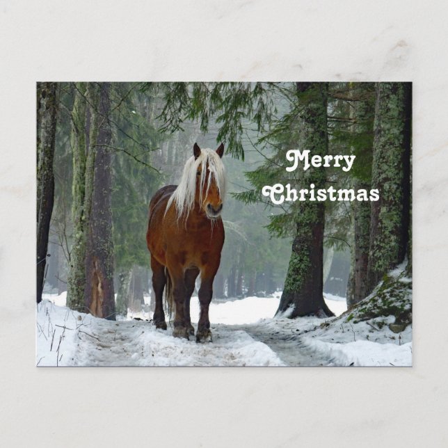Cartão Postal Horse Forest Snow Watercolor Natal (Frente)