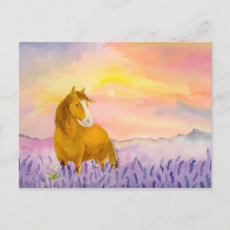 Cartão Postal Horse in Lavender Field During Sunset 