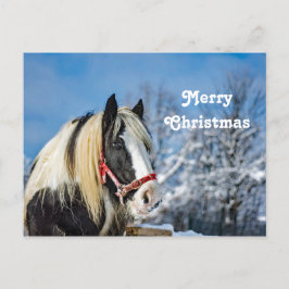 Cartão Postal Horse Paint Snow Foto de Natal