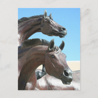 Cartão Postal Horses