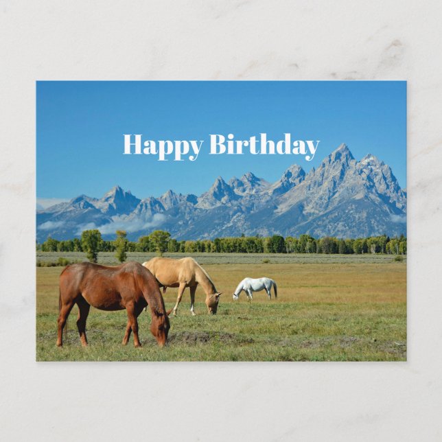 Cartão Postal Horses Teton Monta Paisagem (Frente)
