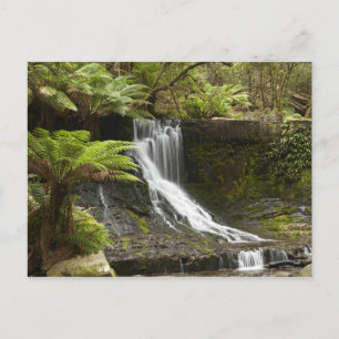 Cartão Postal Horseshoe Falls, Mount Field National Park,