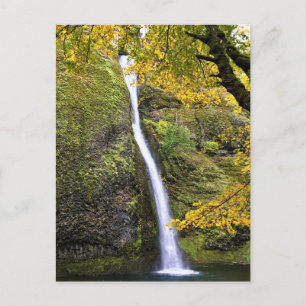 Cartão Postal Horsetail Falls, Columbia River Gorge, Oregon
