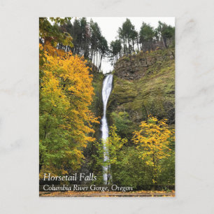 Cartão Postal Horsetail Falls, Columbia River Gorge, Posto Orego