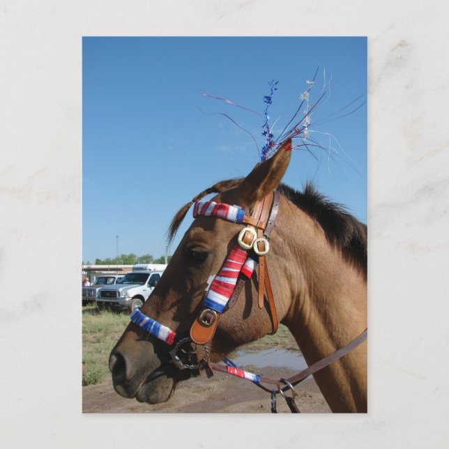 Cartão Postal Horsey 4 (Frente)