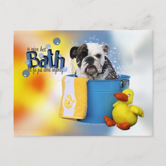 Cartão Postal Hot Bath - Bulldog Inglês - Delilah (Frente)