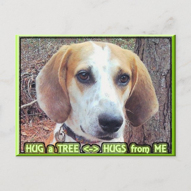Cartão Postal Hound Dog Tree Hugger (Frente)