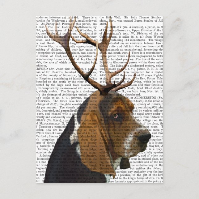 Cartão Postal Hound e Antlers Basset (Frente)
