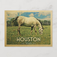 Houston Texas Horse Fazenda - Viagens vintage