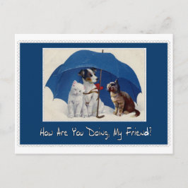 Cartão Postal how are you doing my friend postcard?