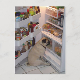 Cartão Postal Howie Pee Pugcalças