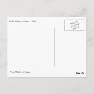 Cartão Postal Howler Monkey, Belize