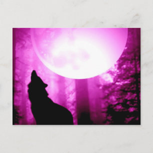 Cartão Postal Howling Wolf